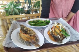 Nikmatnya Gurame Asam Manis dan Gurame Cobek Khas…