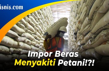 Impor Beras Buat Petani Ragu Hasil Panen Raya Terserap?