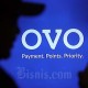OVO Klarifikasi soal Temuan Transaksi Pornografi Anak Sebesar Rp114 Miliar