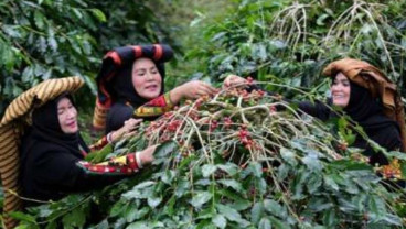 Sumut Ekspor 96 Ton Kopi ke Amerika Serikat dan Kanada