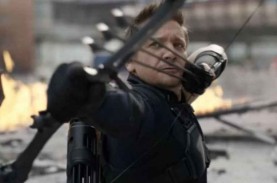 Pemeran Hawkeye Jeremy Renner Alami Kecelakaan, Kondisinya…