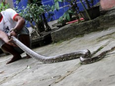 11 Cara Kematian yang Paling Menyakitkan Menurut Sains