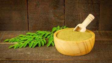 Manfaat Daun Kelor, Efek Samping dan Cara Mengkonsumsinya