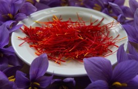 Ini 10 Manfaat Saffron Untuk Kesehatan, Bisa Mengatasi Haid