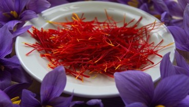 Ini 10 Manfaat Saffron Untuk Kesehatan, Bisa Mengatasi Haid