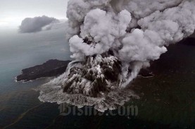 Gunung Anak Krakatau Erupsi, Letusan Setinggi 100…
