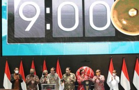 Prospek IPO Jumbo 2023, Grup BUMN Pupuk Kaltim hingga Merdeka Battery