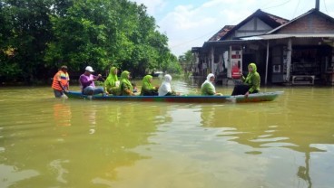 Banjir Pati Berulang, Cara Mengatasinya Tak Sesederhana Meninggikan Rumah