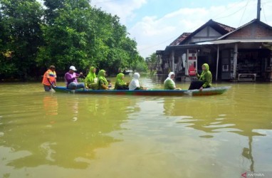 Banjir Pati Berulang, Cara Mengatasinya Tak Sesederhana Meninggikan Rumah