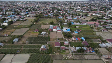 Kementan Mencatat Alih Fungsi Lahan Pertannian Mencapai 100.000 Hektare Per Tahun