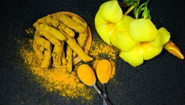 Manfaat Temulawak Bagi Tubuh, Bisa Untuk Produk Kecantikan