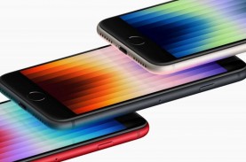 Bye iPhone SE! Apple Dikabarkan Batal Produksi Ponsel…