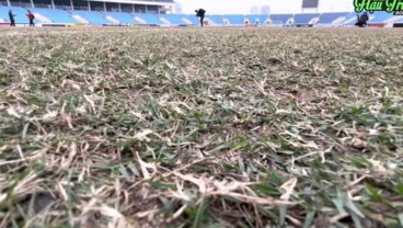 Rumput Stadion My Dinh Memprihatinkan, Disebut Mirip Kandang Sapi dan Dikeluhkan Marc Klok