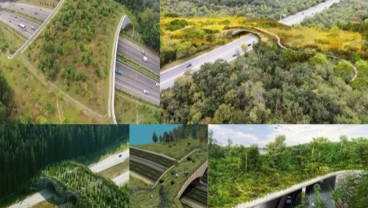 Tol Ramah Lingkungan, Ini Kontribusi KLHK