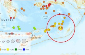 Kilas Balik Gempa Maluku, Pernah Ada 10 Gempa Berdampak Merusak