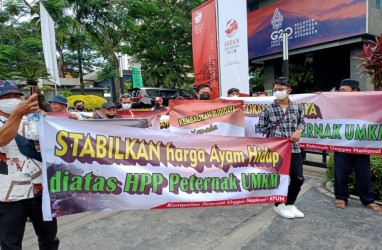 Harga Ayam Hidup Anjlok, Peternak Demo di Kantor Kemendag