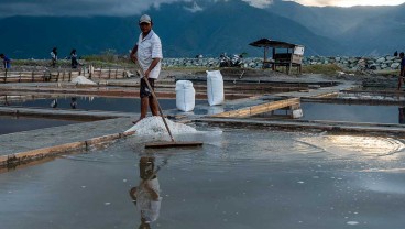 Cuaca Tak Menentu, Petani Garam di Karawang Kini Budi Daya Ikan Bandeng