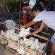 10 Daerah Penghasil Ayam Broiler Tertinggi di Jawa Barat