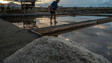 Produksi Garam Jatim Diproyeksi 900.000 - 1 Juta Ton Tahun Ini