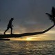 Orang Asing Jual Pulau Panangalat Mentawai, Ini Penjelasan DKP Sumbar