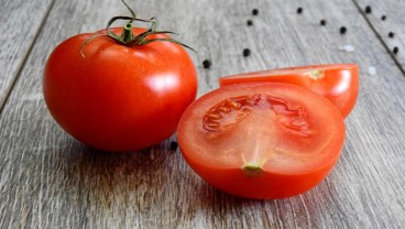 Simak 10 Manfaat Tomat untuk Kesehatan, Baik Untuk Mata
