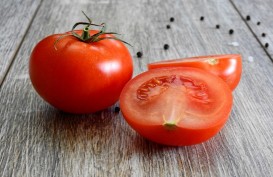 Simak 10 Manfaat Tomat untuk Kesehatan, Baik Untuk Mata