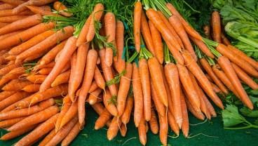 Kandungan dan Manfaat Wortel Bagi Kesehatan, Bisa Cegah Kanker