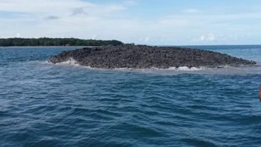 Dampak Gempa Maluku, Muncul Pulau Baru dan Semburan Lumpur di Tanimbar