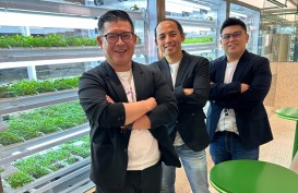 Kenalan dengan 3 Sekawan Pendiri GREENS, Startup Pertanian NFT yang Bisa Dimakan