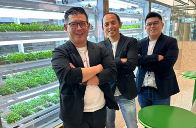 Kenalan dengan 3 Sekawan Pendiri GREENS, Startup Pertanian NFT yang Bisa Dimakan