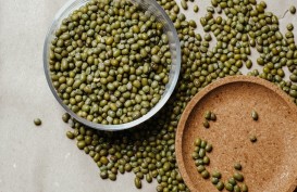 Sederet Kandungan dan Manfaat Kacang Hijau untuk Kesehatan Tubuh