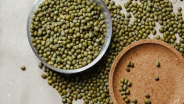 Sederet Kandungan dan Manfaat Kacang Hijau untuk Kesehatan Tubuh