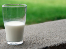 Kandungan dan Manfaat Susu Kambing, Bernutrisi serta Menyehatkan