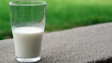 Kandungan dan Manfaat Susu Kambing, Bernutrisi serta Menyehatkan