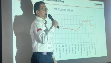 Hingga Akhir 2022, Progres Smelter Freeport Lampaui Target 50 Persen