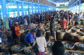 Produksi Perikanan di Laut Banda dan Maluku Baru Terserap 16,3 Persen