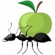 7 Cara Mengusir Semut dengan Bahan Alami, Dijamin Langsung Kabur