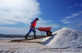Ternyata Ini yang Bikin Indonesia Masih Ketergantungan Impor Garam