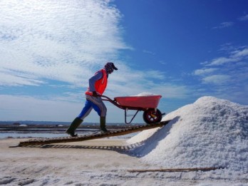 Ternyata Ini yang Bikin Indonesia Masih Ketergantungan Impor Garam