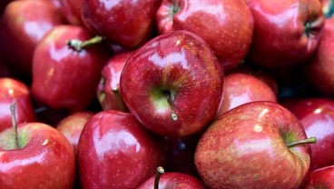 Ini 8 Manfaat Buah Apel untuk Kesehatan, Bisa Mencegah Kanker