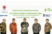 Saham IPPE & ZATA Milik Sultan Subang Ambrol ARB, BEBS Kena Suspensi