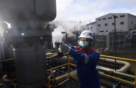 RI-Jepang Sukses Pangkas 56.254 Juta Ton Emisi Karbon, Pertamina Terbanyak