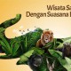 Wisata Baru Solo Safari, Kejar Target Rp800 Juta per Bulan