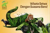 Solo Safari Tawarkan Makan Malam Bersama Harimau