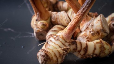 Ini 14 Manfaat Lengkuas bagi Kesehatan Pria dan Perempuan