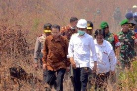 KLHK Klaim Efektif Gunakan APBN 2022, Ini Buktinya
