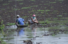 Mulai Februari 2023, DKP Larang Nelayan Bagan Tangkap Ikan Bilih di Danau Singkarak