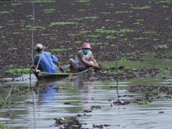 Mulai Februari 2023, DKP Larang Nelayan Bagan Tangkap Ikan Bilih di Danau Singkarak