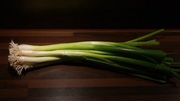 Kandungan dan Manfaat Daun Bawang Untuk Kesehatan Tubuh