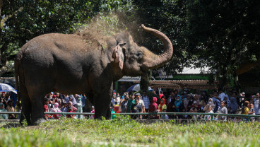 Taman Margasatwa Ragunan Diapadati Warga Saat Libur Hari Raya Imlek